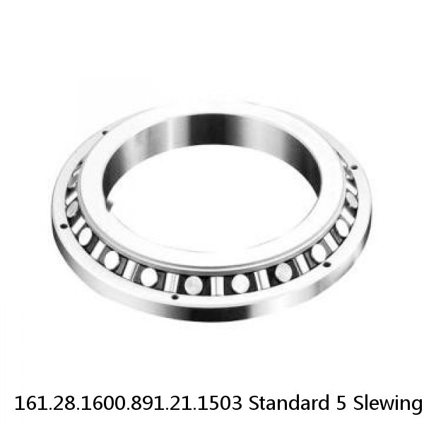 161.28.1600.891.21.1503 Standard 5 Slewing Ring Bearings
