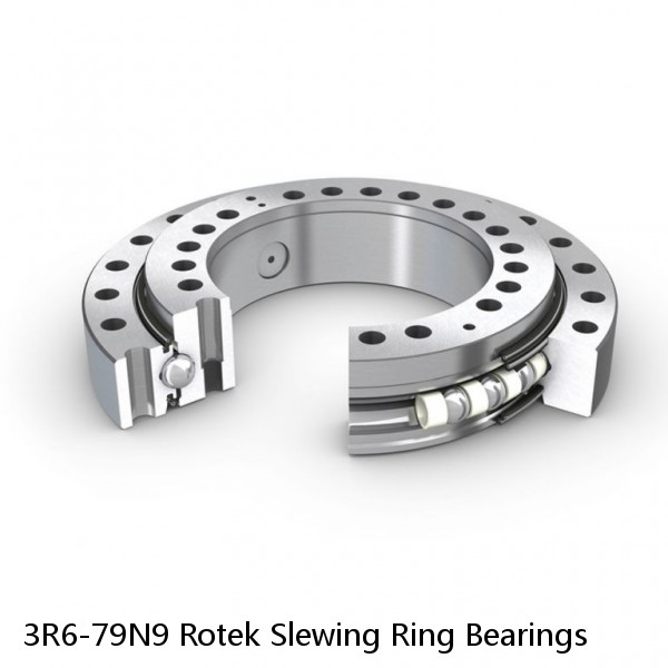 3R6-79N9 Rotek Slewing Ring Bearings
