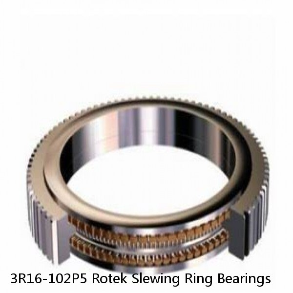 3R16-102P5 Rotek Slewing Ring Bearings