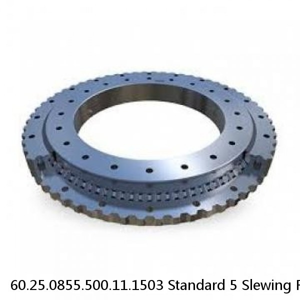 60.25.0855.500.11.1503 Standard 5 Slewing Ring Bearings