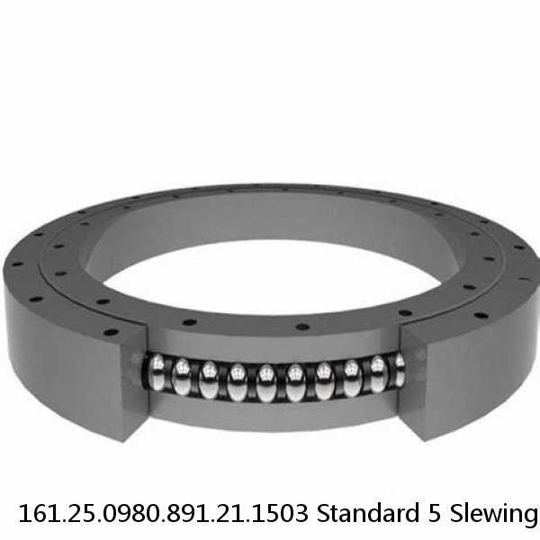 161.25.0980.891.21.1503 Standard 5 Slewing Ring Bearings