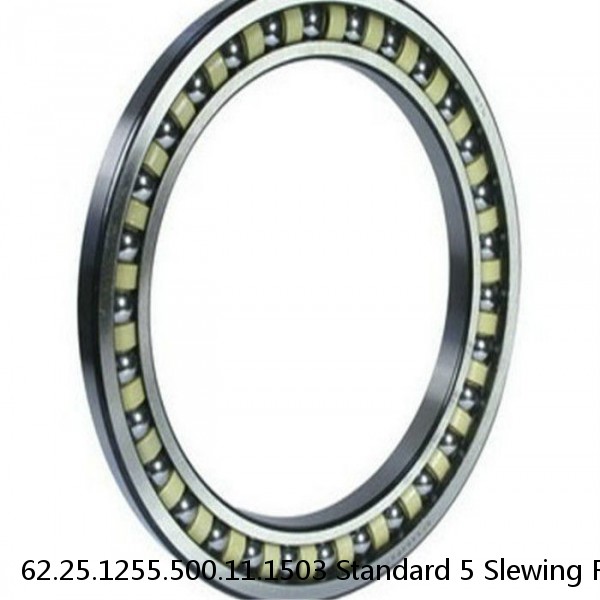 62.25.1255.500.11.1503 Standard 5 Slewing Ring Bearings