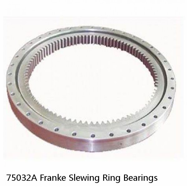 75032A Franke Slewing Ring Bearings