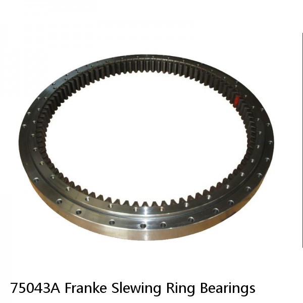 75043A Franke Slewing Ring Bearings