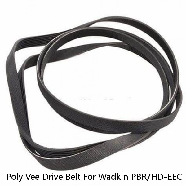 Poly Vee Drive Belt For Wadkin PBR/HD-EEC Bandsaws #1 small image