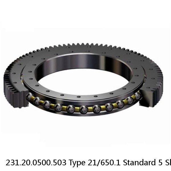 231.20.0500.503 Type 21/650.1 Standard 5 Slewing Ring Bearings #1 image