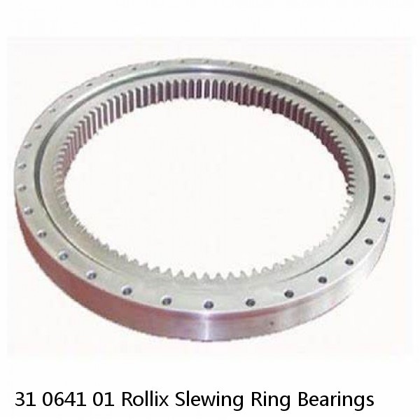 31 0641 01 Rollix Slewing Ring Bearings #1 image