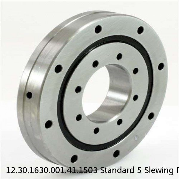 12.30.1630.001.41.1503 Standard 5 Slewing Ring Bearings #1 image