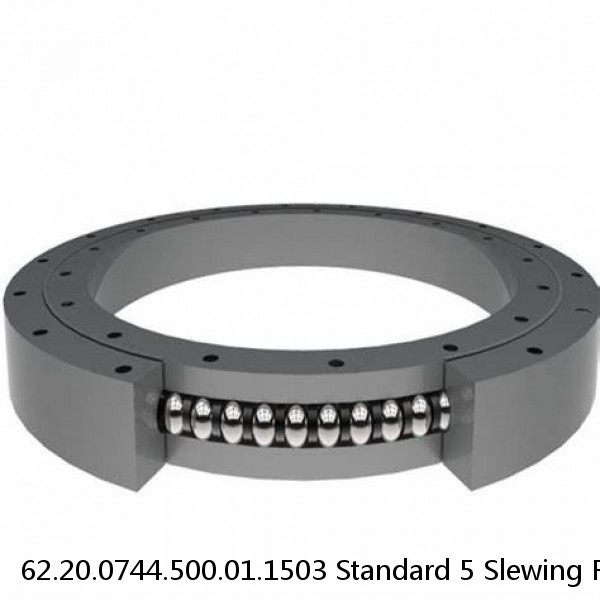 62.20.0744.500.01.1503 Standard 5 Slewing Ring Bearings #1 image