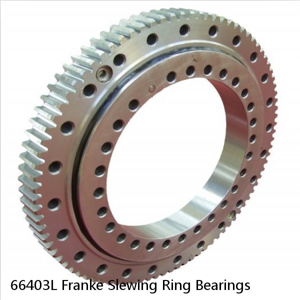 66403L Franke Slewing Ring Bearings #1 image