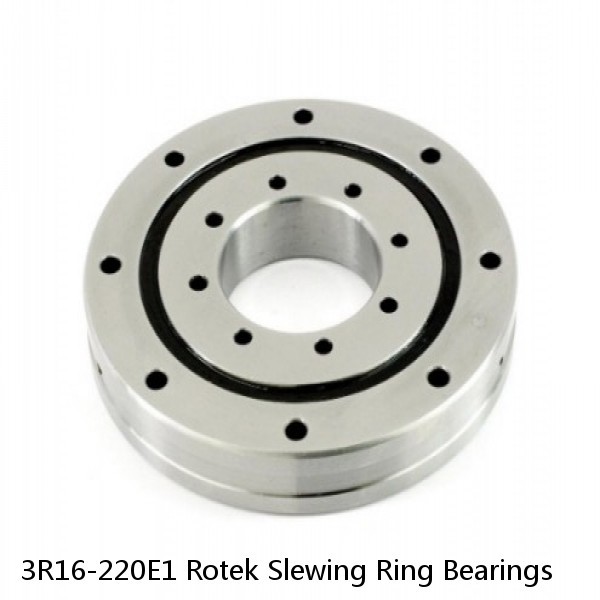 3R16-220E1 Rotek Slewing Ring Bearings #1 image