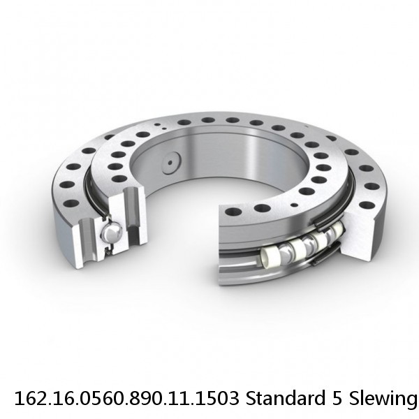 162.16.0560.890.11.1503 Standard 5 Slewing Ring Bearings #1 image