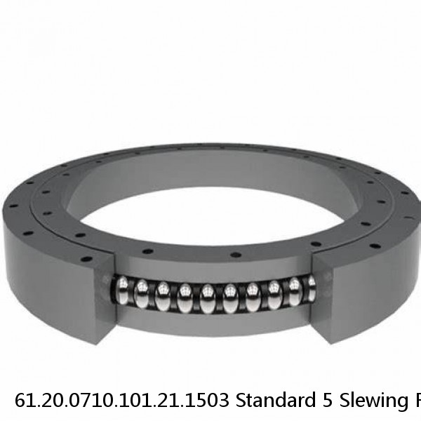 61.20.0710.101.21.1503 Standard 5 Slewing Ring Bearings #1 image