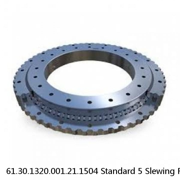 61.30.1320.001.21.1504 Standard 5 Slewing Ring Bearings #1 image
