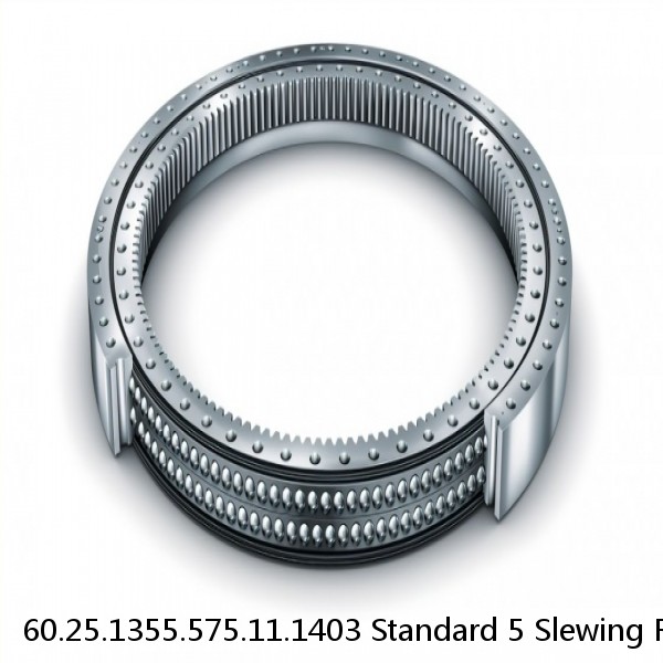 60.25.1355.575.11.1403 Standard 5 Slewing Ring Bearings #1 image