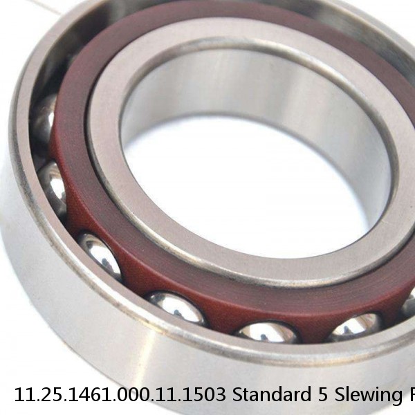 11.25.1461.000.11.1503 Standard 5 Slewing Ring Bearings #1 image