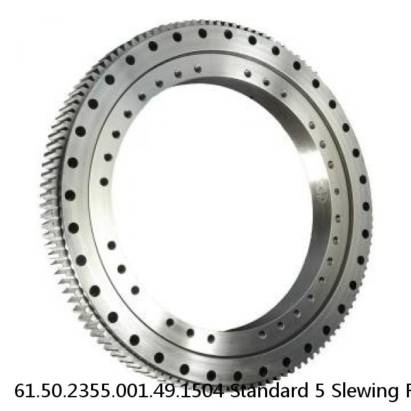 61.50.2355.001.49.1504 Standard 5 Slewing Ring Bearings #1 image